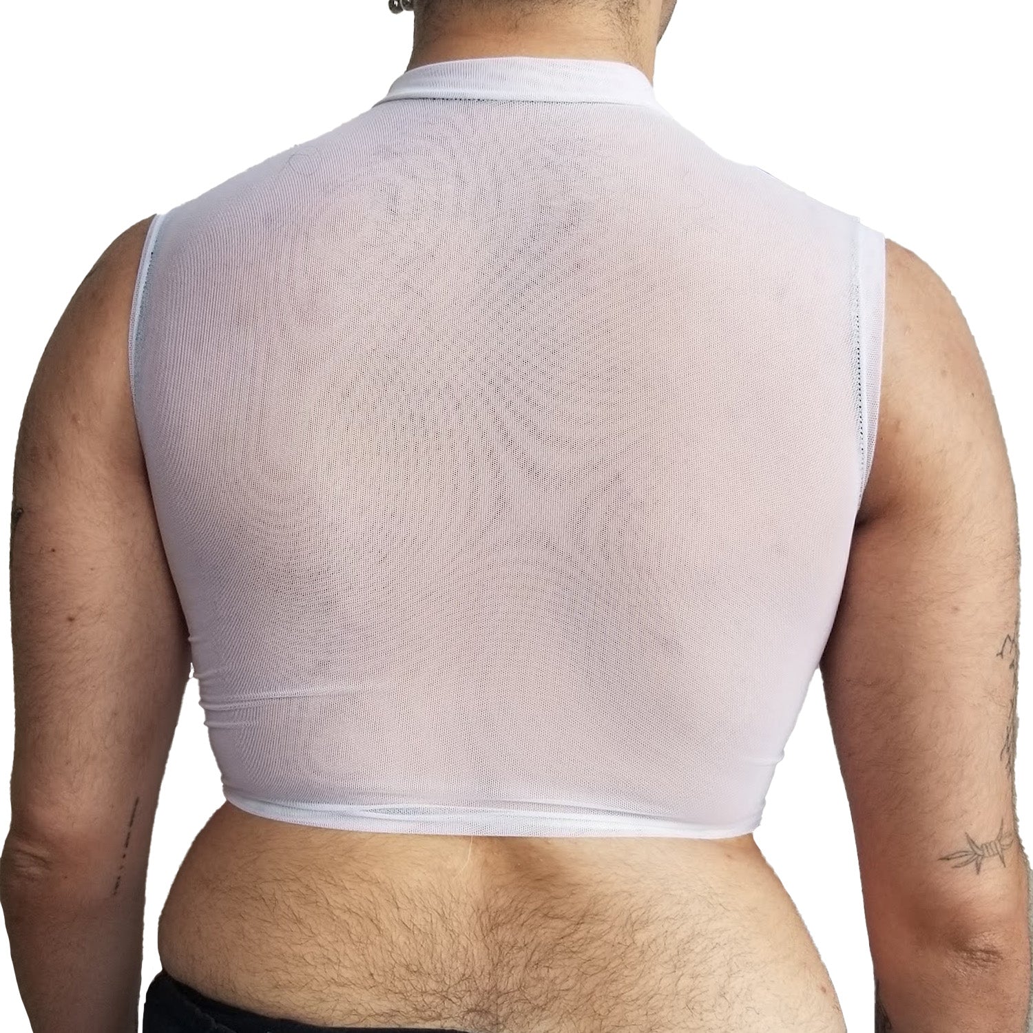 Fake Trans Mesh Crop Top