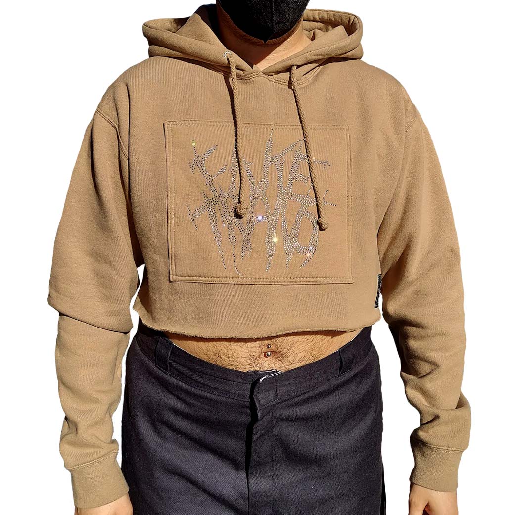 Fake Trans Rhinestone Crop Hoodie